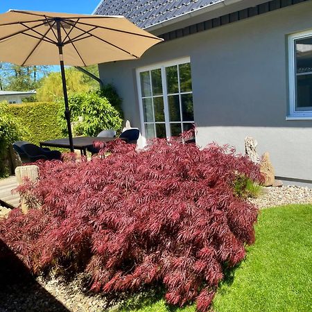 Ferienhaus Buhne 31 Prerow Zewnętrze zdjęcie